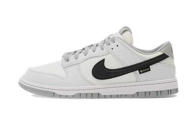 Nike Sportswear DUNK LOW GORE EX