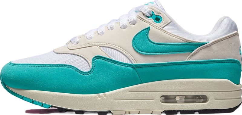 Nike Air Max 1 Dusty Cactus (W)