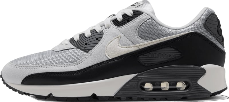 Nike Air Max 90 'Iron Grey & Photon Dust'