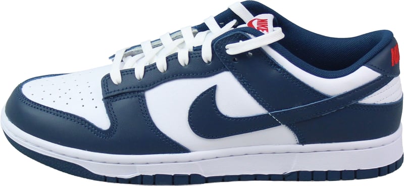 Nike Dunk Low 'Valerian Blue'