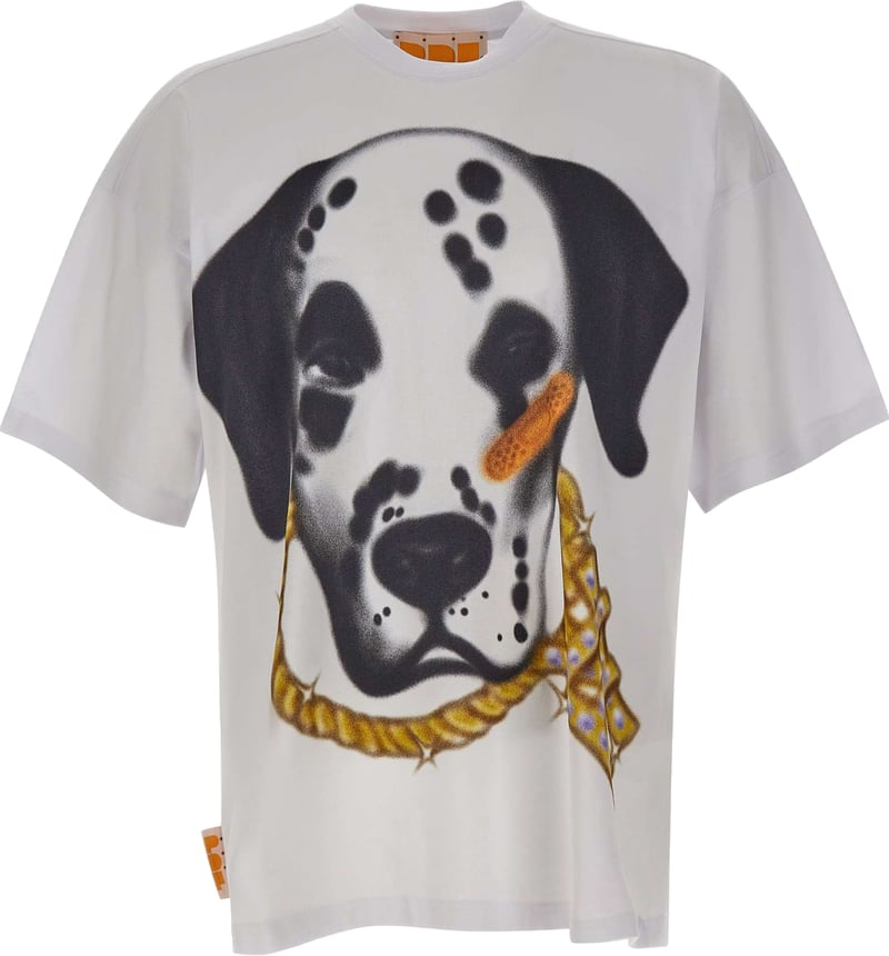 T-Shirts And Polos White