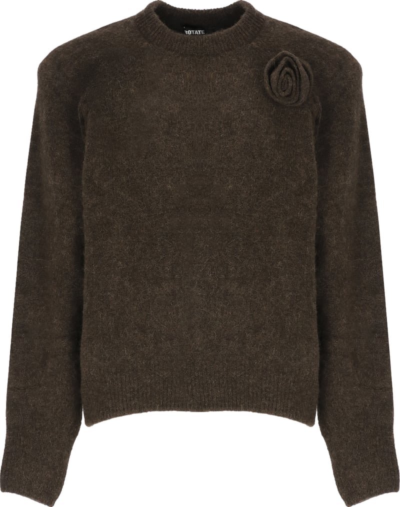 Sweaters Brown