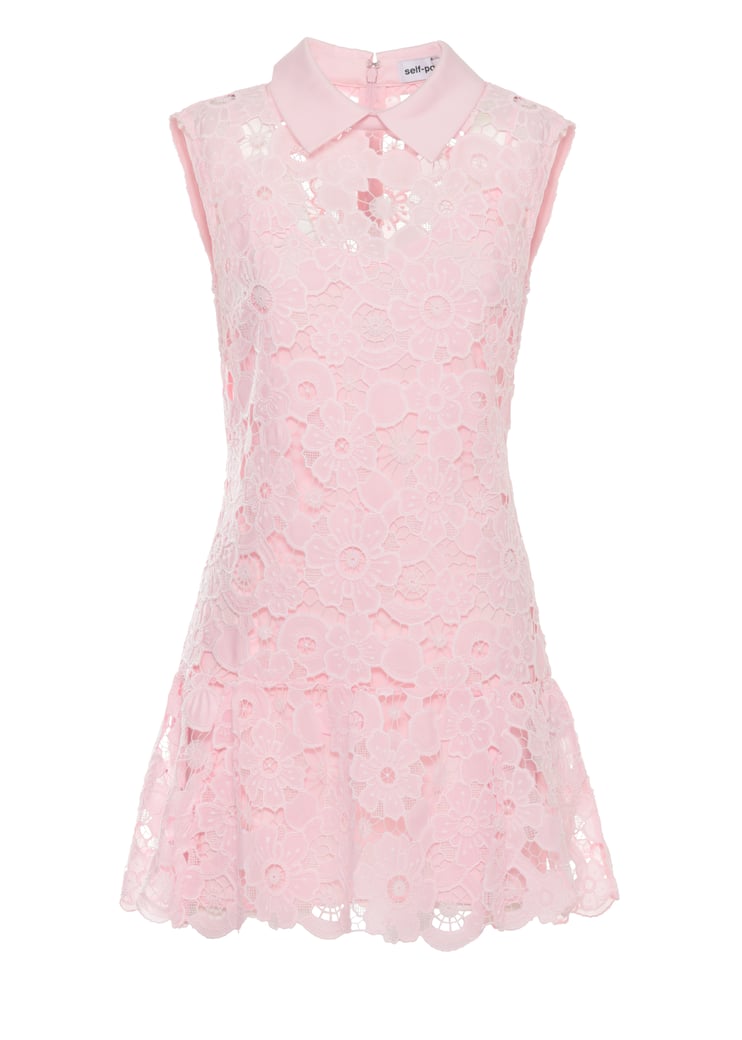 Lace Mini Dress With Classic Collar And Fitted Bodice