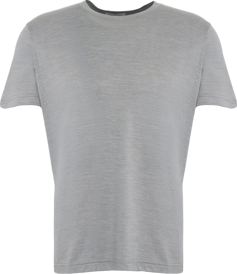 Silk t-shirt 'Enno'