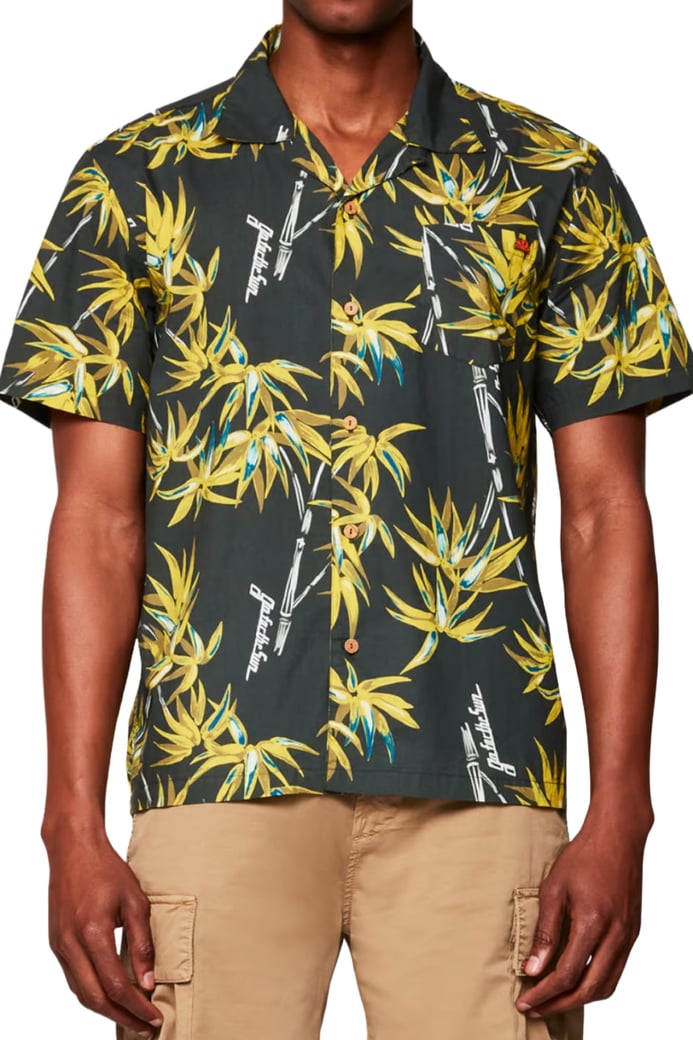 Shirts Pine