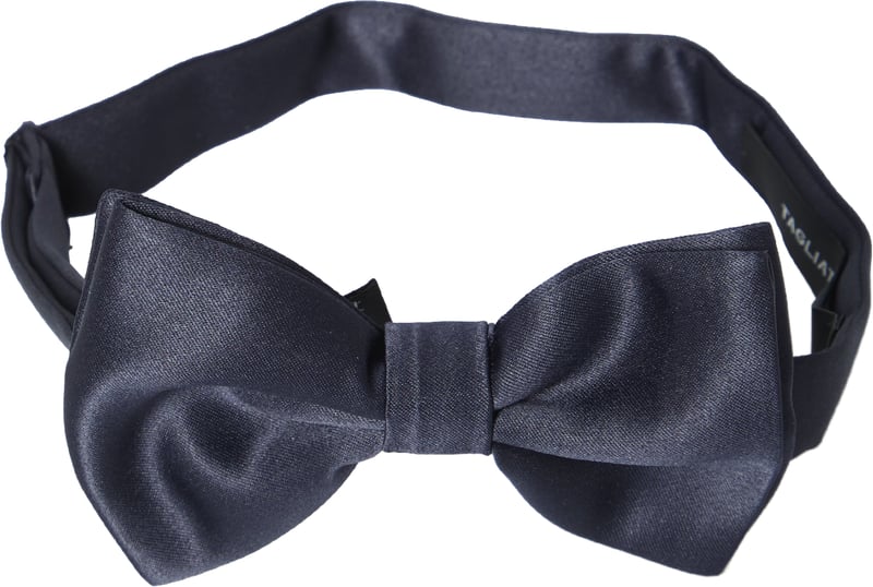 Blue bow tie