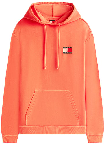 Tommy Jeans RLX Wavy Flag Hoodie Ext